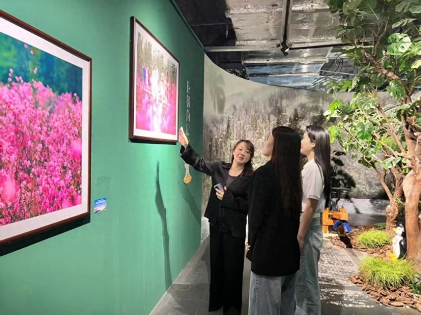影像为笔,绘就文旅新篇——“大美伊春˙魅力丰林”四季风光摄影作品展三城巡展圆满落幕(图1) 影像为笔,绘就文旅新篇——“大美伊春˙魅力丰林”四季风光摄影作品展三城巡展圆满落幕(图1)
