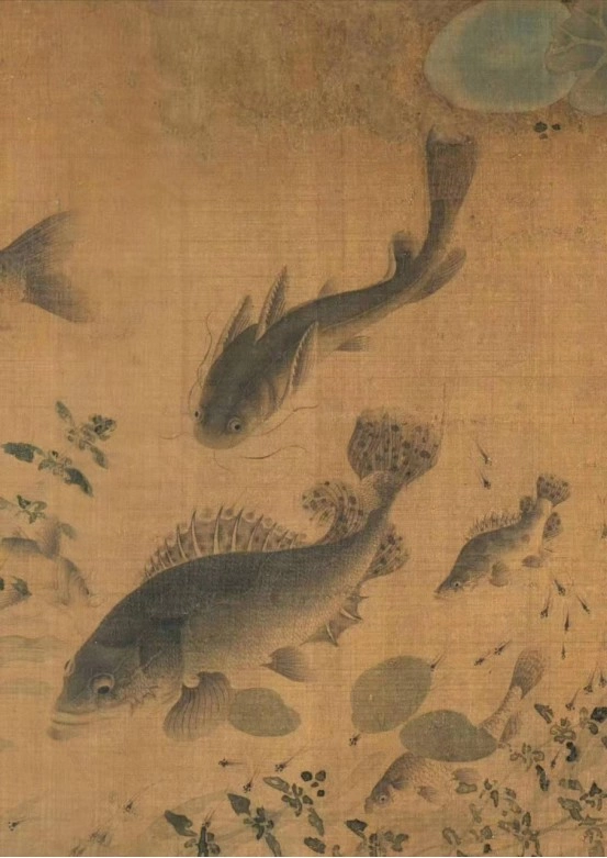 袁思陶:浅谈中国花鸟画蕴含的生命精神(图22) 袁思陶:浅谈中国花鸟画蕴含的生命精神(图22)