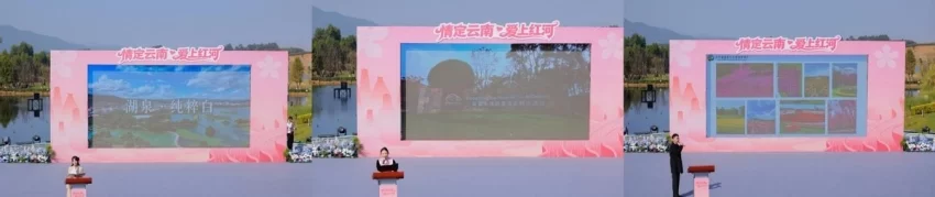 海拔1314米处邂逅浪漫,“情定云南·爱上红河”盛启(图5) 海拔1314米处邂逅浪漫,“情定云南·爱上红河”盛启(图5)