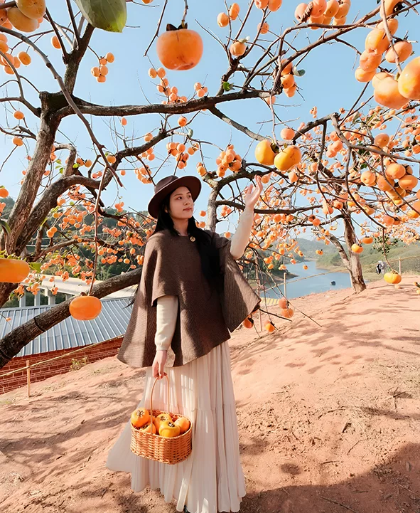 广西:打造旅游目的地升级版(图2) 广西:打造旅游目的地升级版(图2)