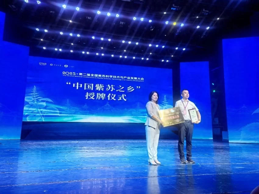京蒙协作结硕果 鄂伦春获批“中国紫苏之乡”(图1) 京蒙协作结硕果 鄂伦春获批“中国紫苏之乡”(图1)