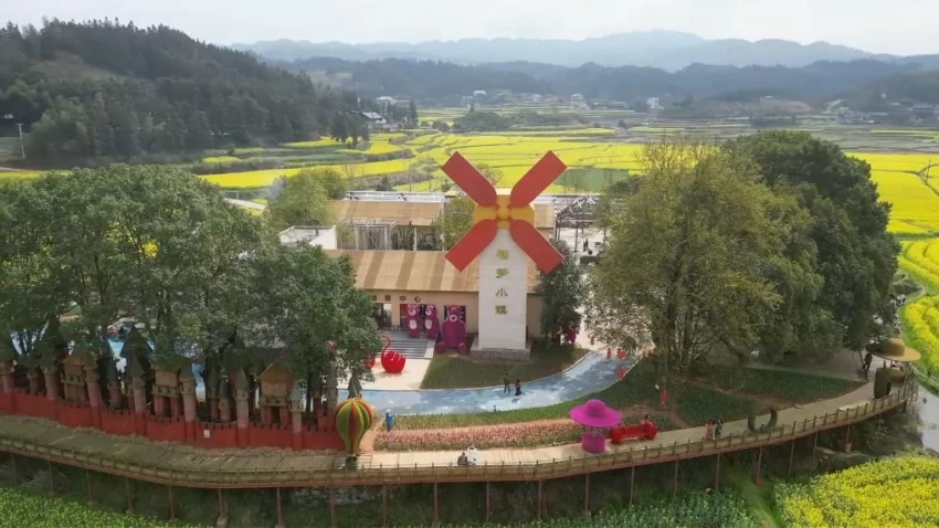 新华视点|春日盛景赋能“花经济” 文旅融合焕发新活力(图12) 新华视点|春日盛景赋能“花经济” 文旅融合焕发新活力(图12)