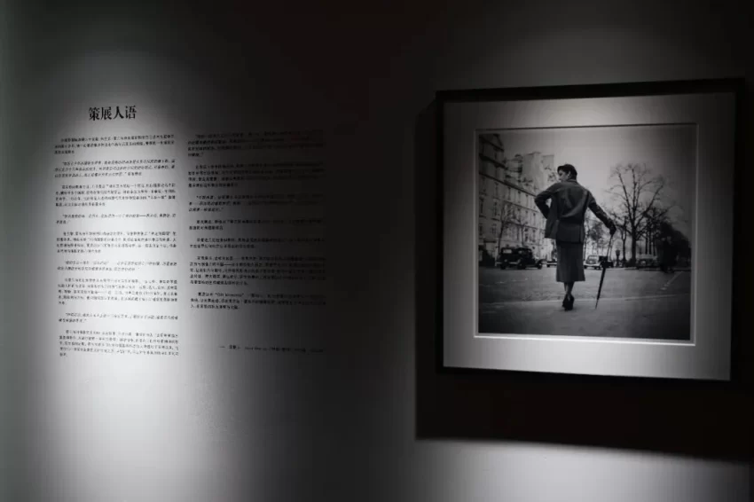 大师镜语——弗兰克・霍瓦特中国大陆首次个人作品回顾展在太原山姆美术馆惊艳亮相(图5) 大师镜语——弗兰克・霍瓦特中国大陆首次个人作品回顾展在太原山姆美术馆惊艳亮相(图5)