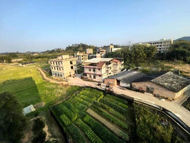 山古屯三百年:博白大鹏堂的“读书种子”代代相传