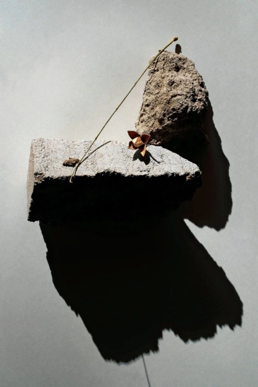 北京摄影周2026:行业生态篇,持续推进影像艺术普及与产业创新(图11) 北京摄影周2026:行业生态篇,持续推进影像艺术普及与产业创新(图11)