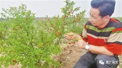 另类治沙英雄——侧记榆林的科技治沙人(图4) 另类治沙英雄——侧记榆林的科技治沙人(图4)