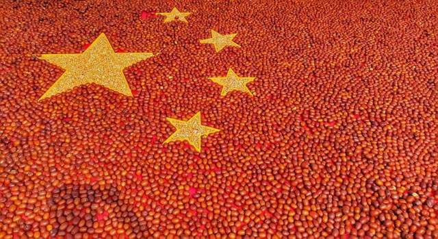 陕西神木:累累硕果满枝头,奋楫笃行再出发(图2) 陕西神木:累累硕果满枝头,奋楫笃行再出发(图2)