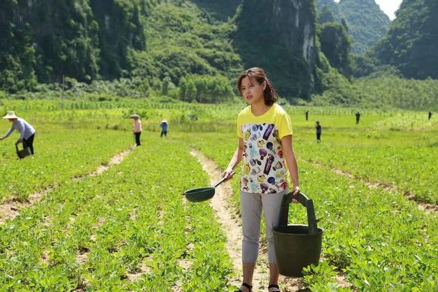 连续剧《向往的生活》亮相多家卫视,描绘广西乡村振兴图景(图3) 连续剧《向往的生活》亮相多家卫视,描绘广西乡村振兴图景(图3)