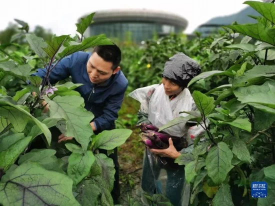 上下同心,尽锐出战——脱贫攻坚精神述评(图4) 上下同心,尽锐出战——脱贫攻坚精神述评(图4)