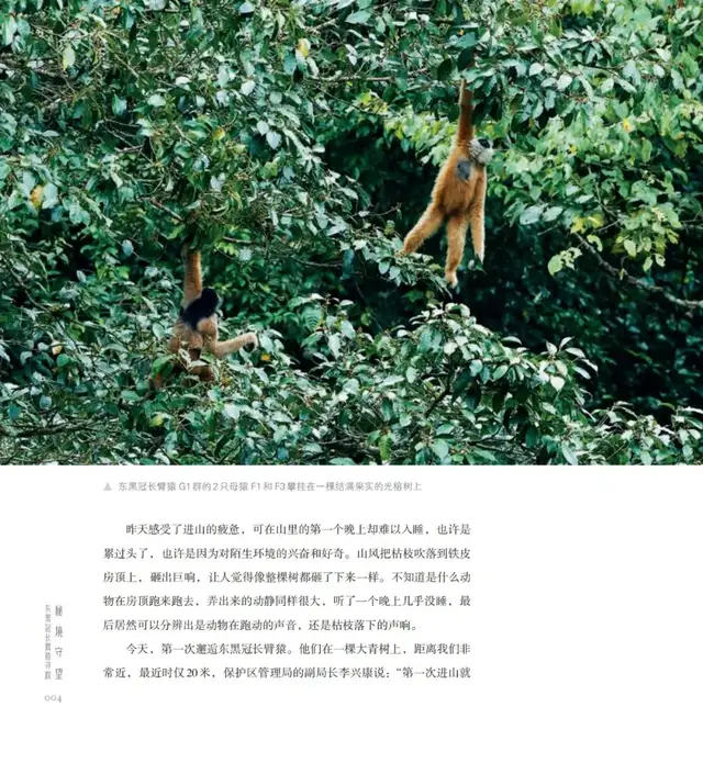 新书 | 猿啼为信，奔赴一场自然之约(图3)