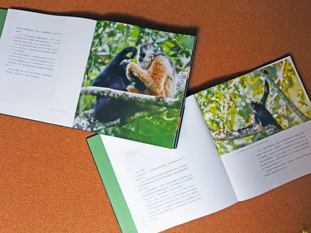 新书 | 猿啼为信，奔赴一场自然之约(图15)