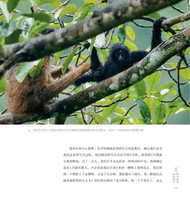 新书 | 猿啼为信，奔赴一场自然之约(图12)